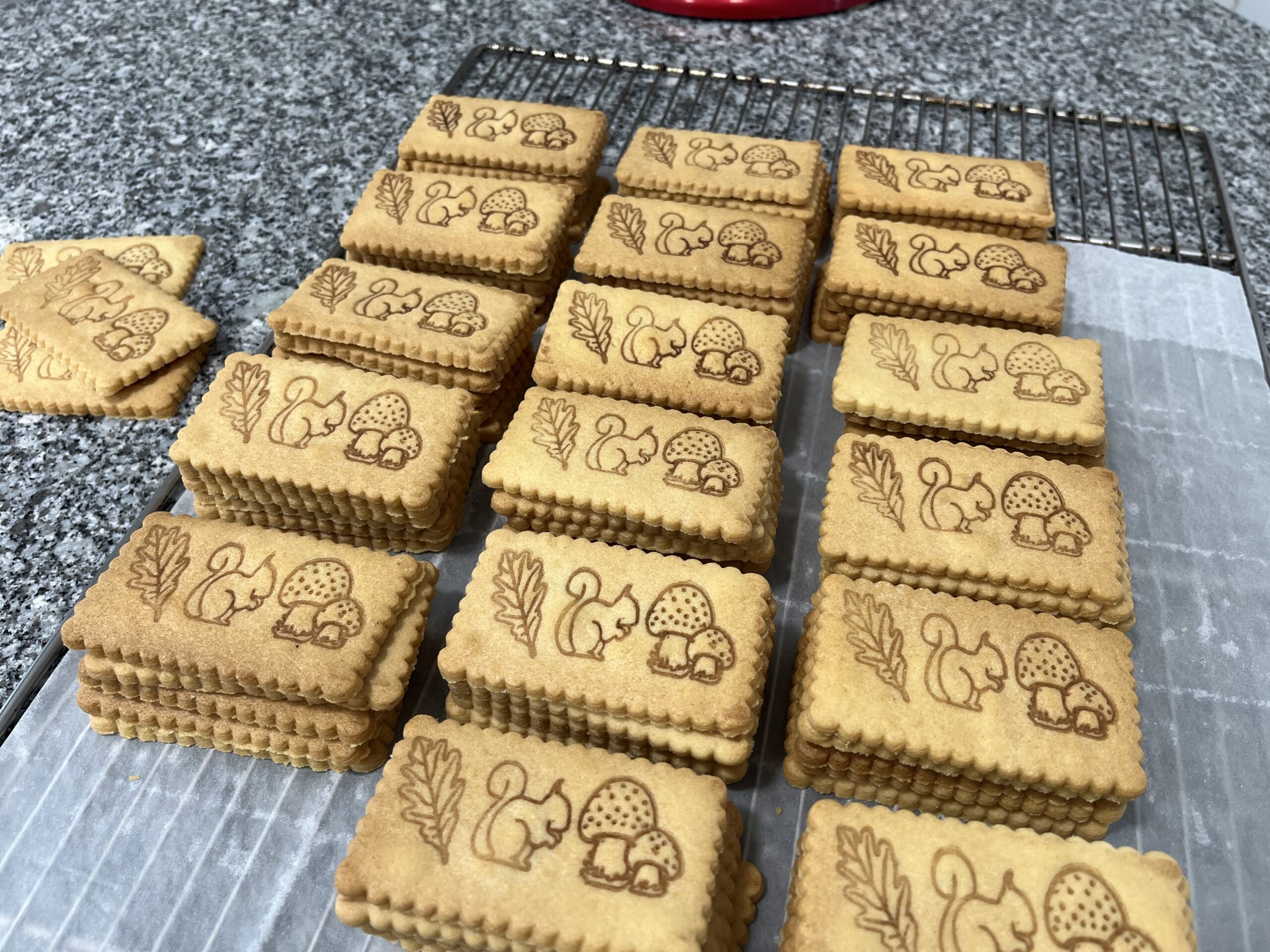 Biscuit automne