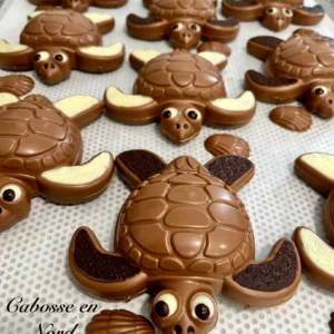 Tortue Caouanne