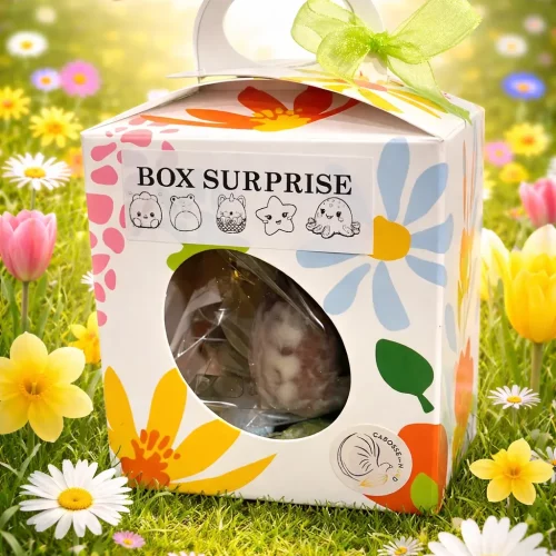 Box surprise
