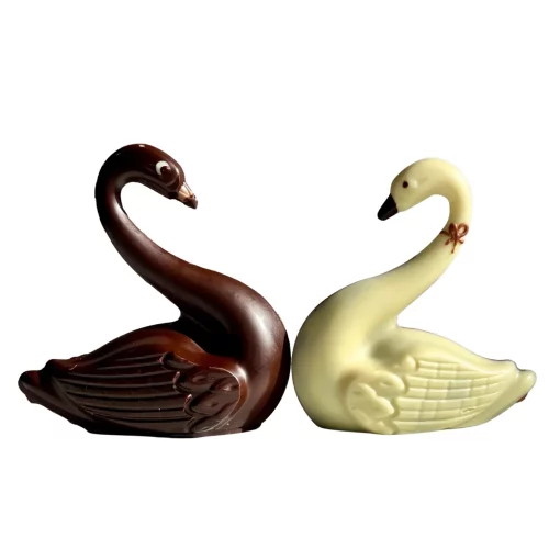 Duo cygnes