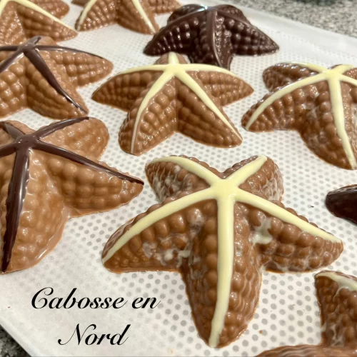 Etoile de Mer en chocolat