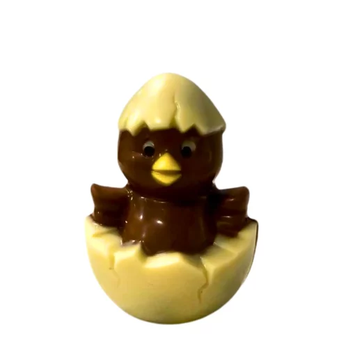 Poussin chocolat